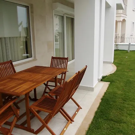 فيلة Lighthouse Lydia *