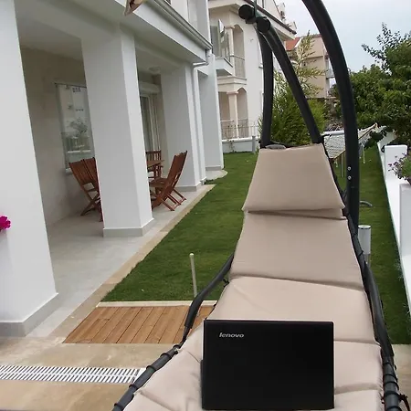 فيلة Lighthouse Lydia