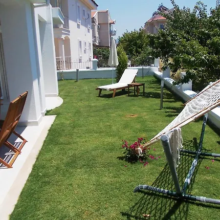 فيلة Lighthouse Lydia