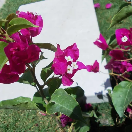 Villa Lighthouse Lydia *