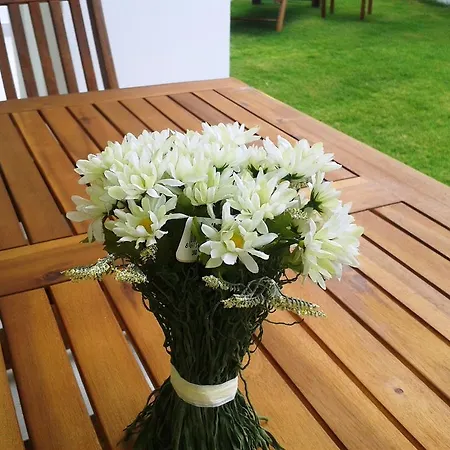 Lighthouse Lydia فيلة *