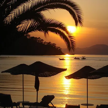 灯塔莉迪亚别墅 *