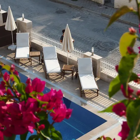 灯塔莉迪亚别墅